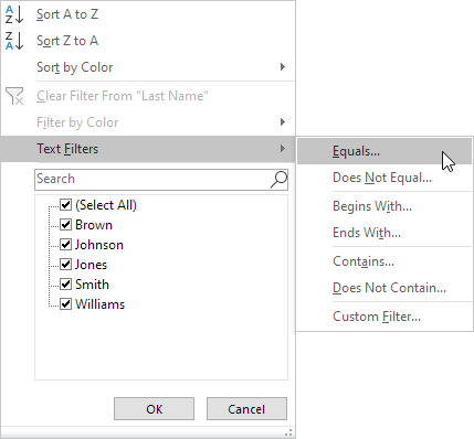 Filtros de texto en Excel